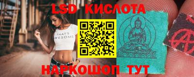 стафф Будённовск