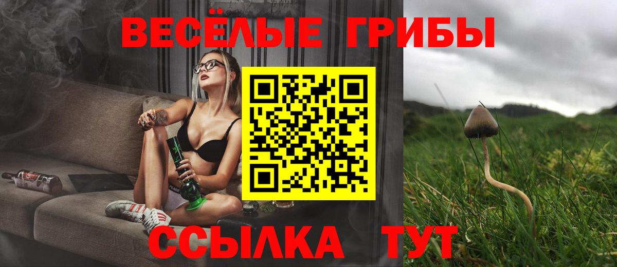 Ростов-на-Дону  Галлюциногенные грибы Psilocybine cubensis  Псилоцибиновые грибы прущие грибы  Вход с VPN 
